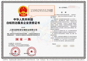 深圳教育咨詢服務 專業導航，助力學子與家庭的教育成長之路